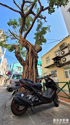 澳门街景