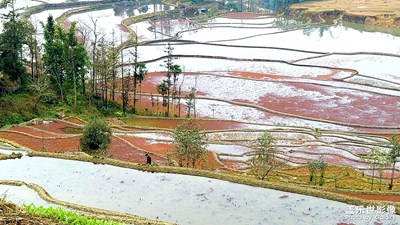 云南元阳梯田