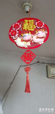 【欢度春节】新年快乐