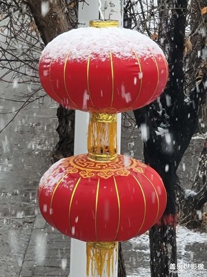 春雪