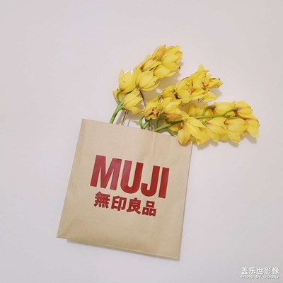 用纸袋做花瓶