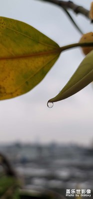 雨后即景！