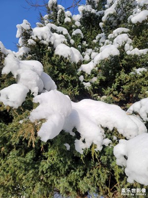 牛年第二场雪