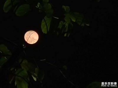 月上梢头