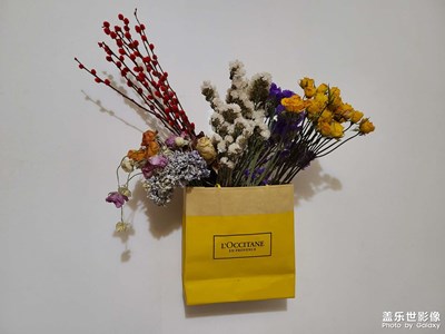 干枯植物之美
