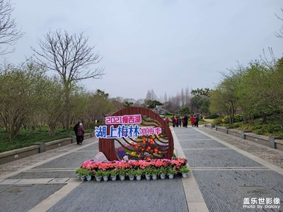 扬州万花园梅花♧节