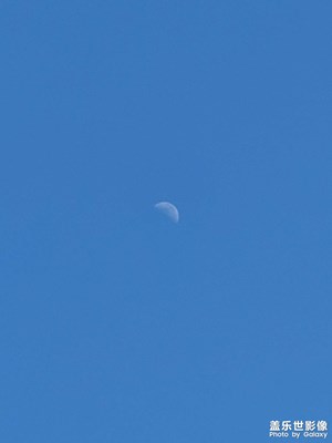 月亮与露珠