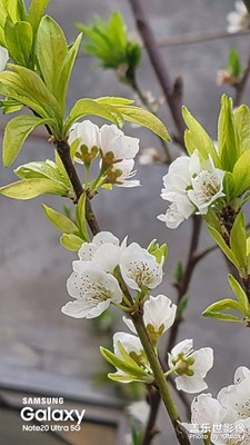 大凉山风光