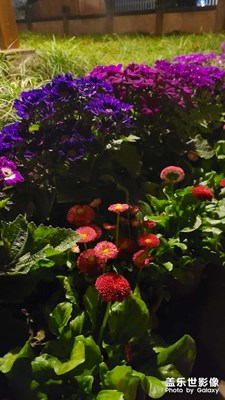 花