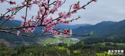 春来踏青，夏来追风。