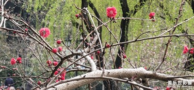 2021年3月份春天