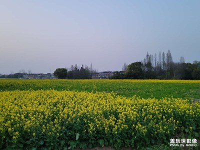 S21U随拍