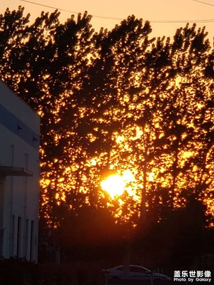 夕阳