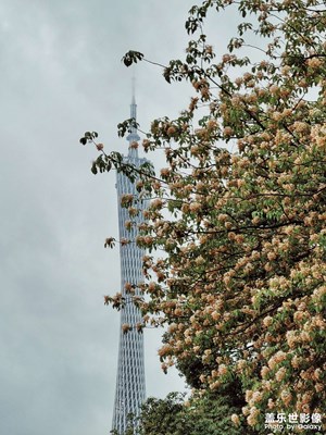 晨跑随手拍