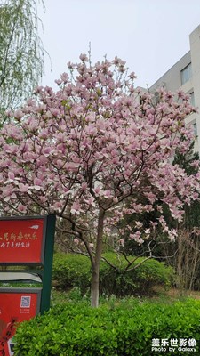 小区一角