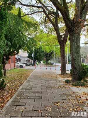 五公司门外小景