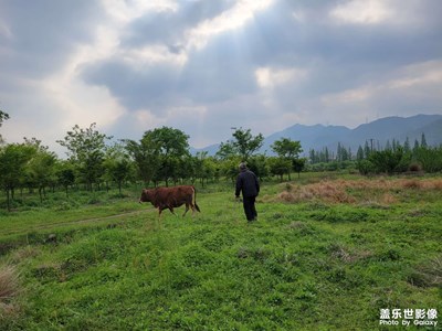 清明