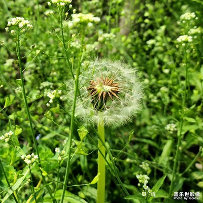 随手一拍