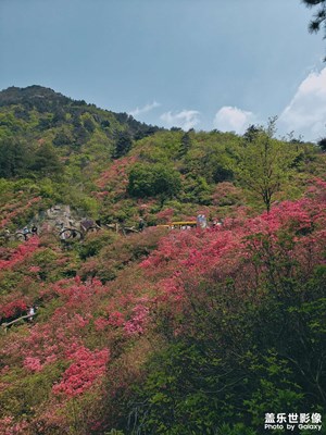 人间四月天