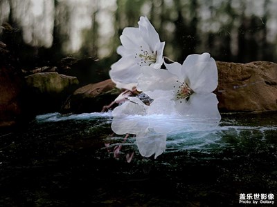 溪水映花衣