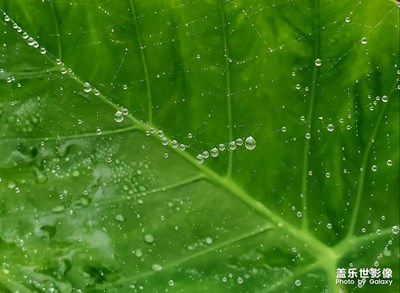 春雨时节