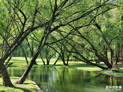 【霸屏朋友圈】+高点赞率合集