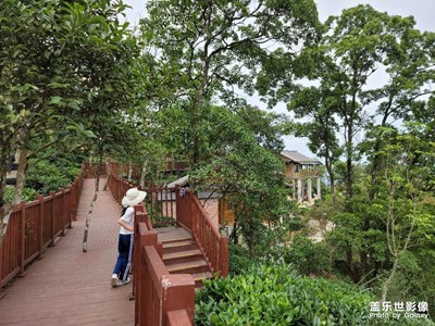 浦北家乡
