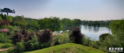 拍照我是业余的