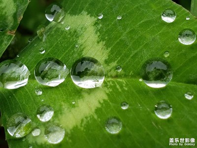 微雨