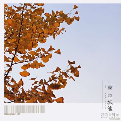 随手拍