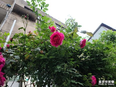老街