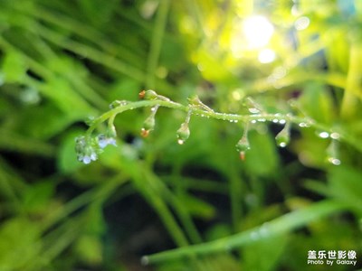 一场雨一个和你有关的故事
