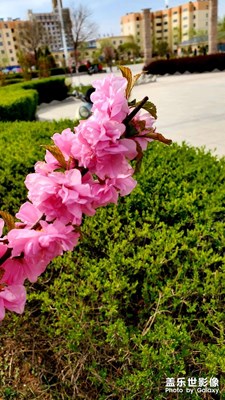 春暖花开逛公园