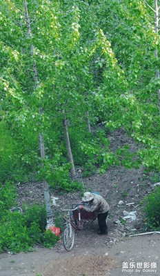 又是无聊的一天