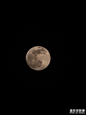 今晚的月亮很圆