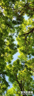 立夏日掠影