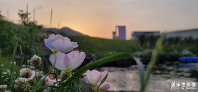 匆匆一年，又夏天