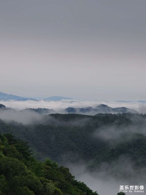 大余梅关古驿道