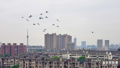 【阴天之下，城市黄昏】