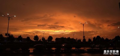 追夕阳的人