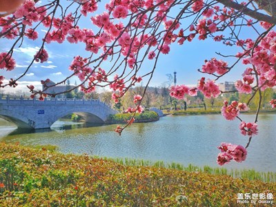 小城美景