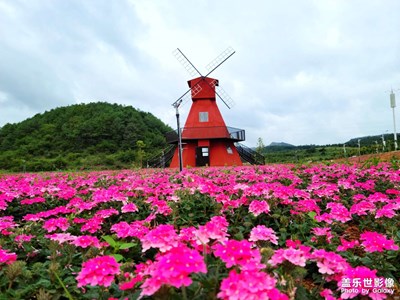 家乡美景