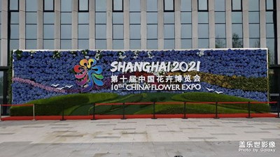 上海花博会（一）
