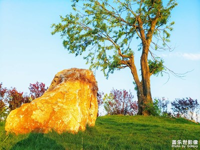 【念念不忘】+公园风景