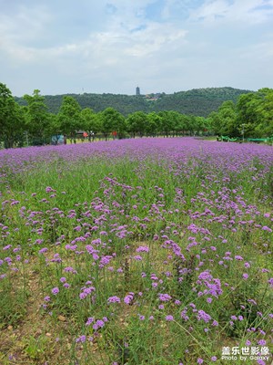 香山湖风景