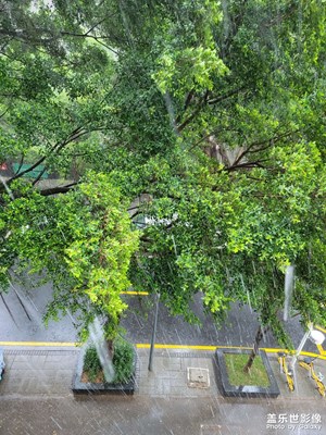 今天暴雨