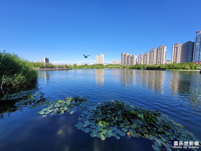 今日照片     南湖广场