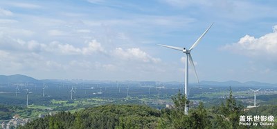 【春去夏犹清】海岛生态廊道掠影