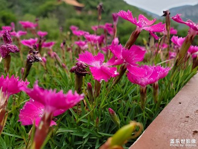 两年前的S10＋拍照