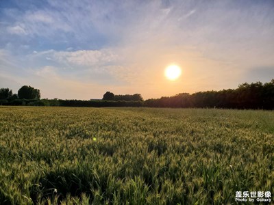 【留住精彩】+ 6月随拍